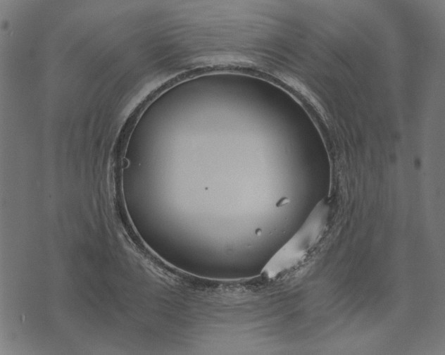 X0000073720983200608171159