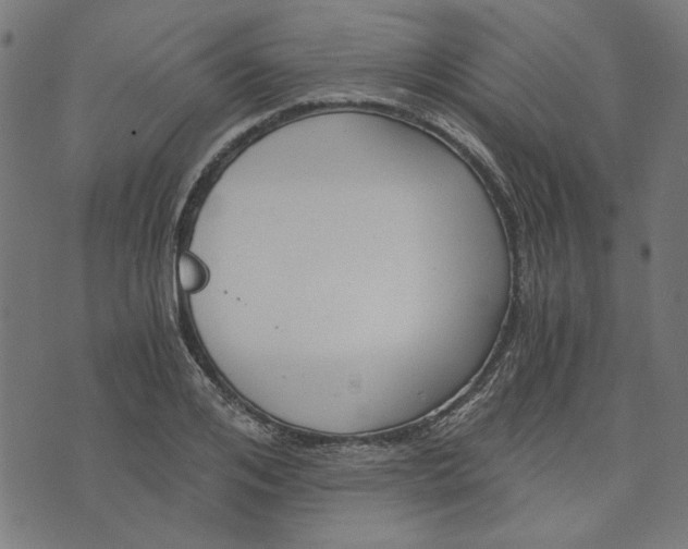 X0000073720984200608171159