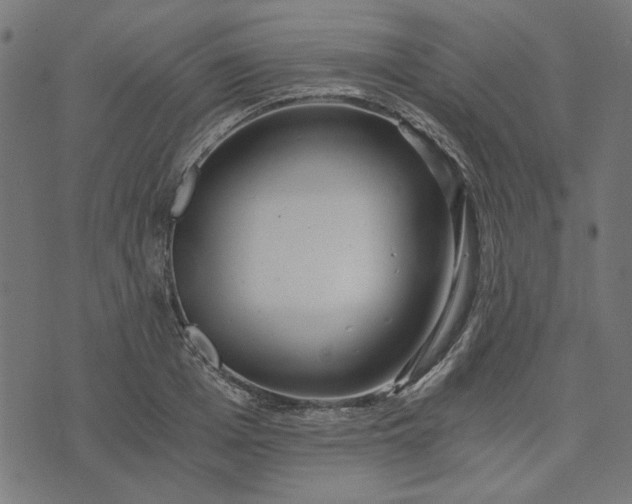 X0000073720985200608171159