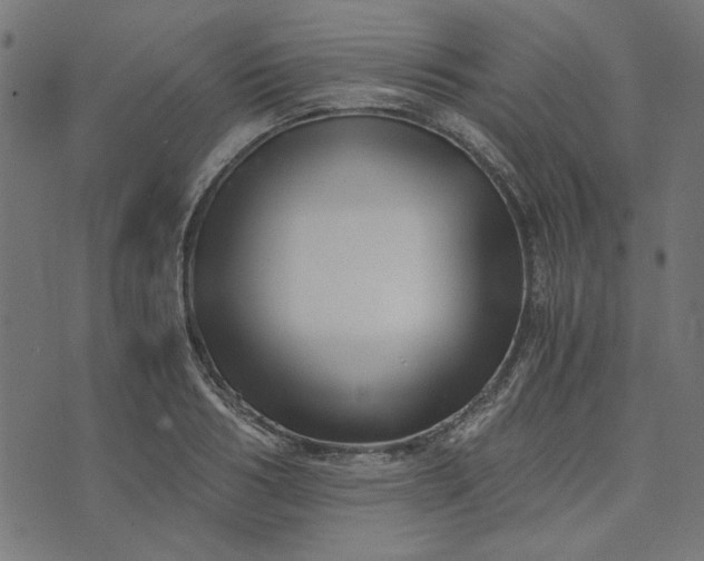 X0000073720986200608171159