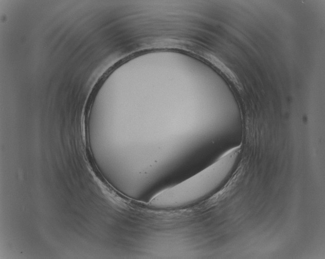 X0000073720988200608171159