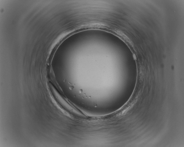 X0000073720989200608171159