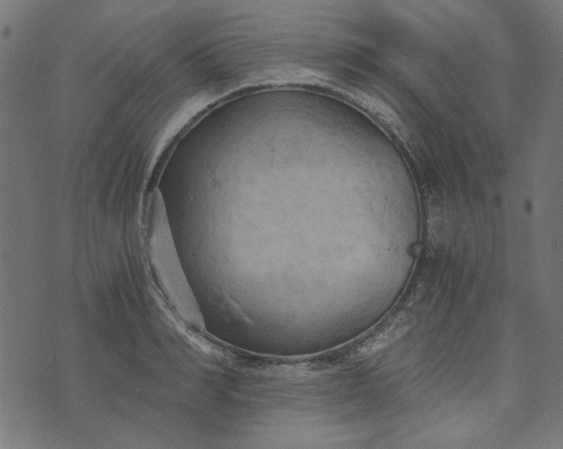 X0000073720990200608171159