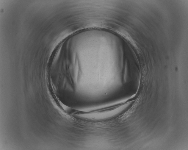 X0000073720991200608171159