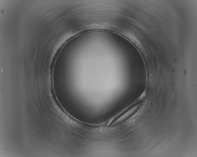 X0000073720992200608171159