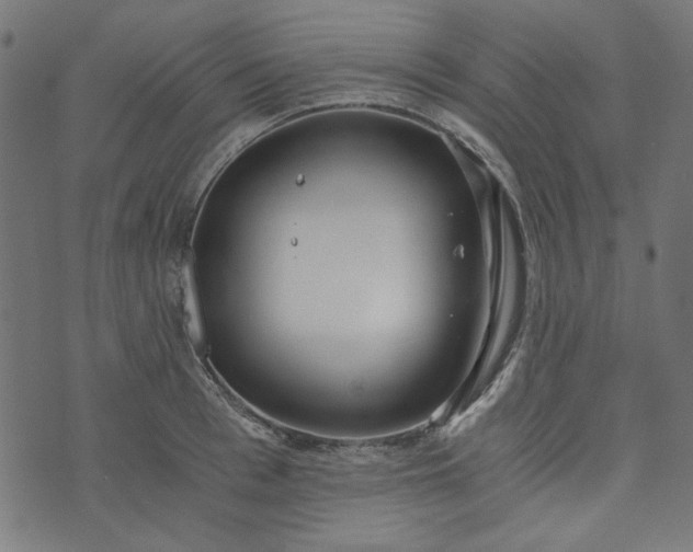 X0000073720993200608171159