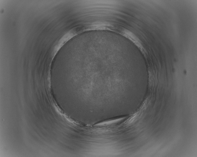 X0000073720994200608171159