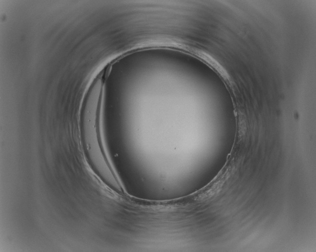 X0000073720996200608171159