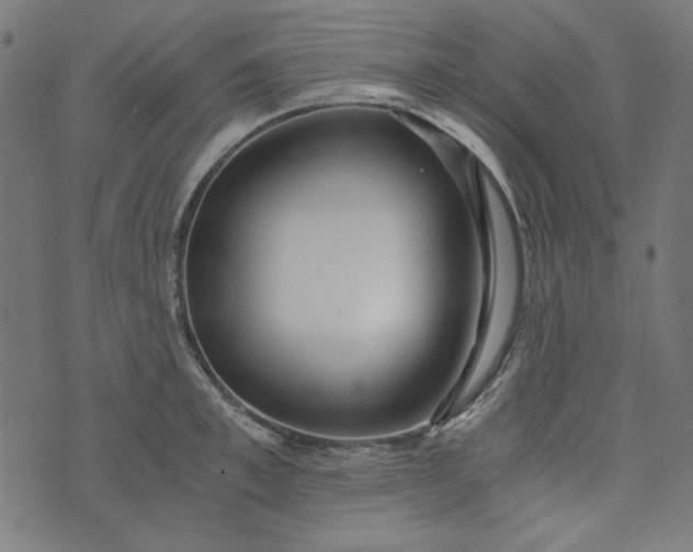 X0000073720997200608171159