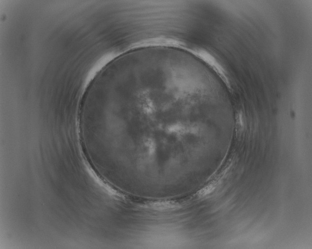 X0000073720998200608171159