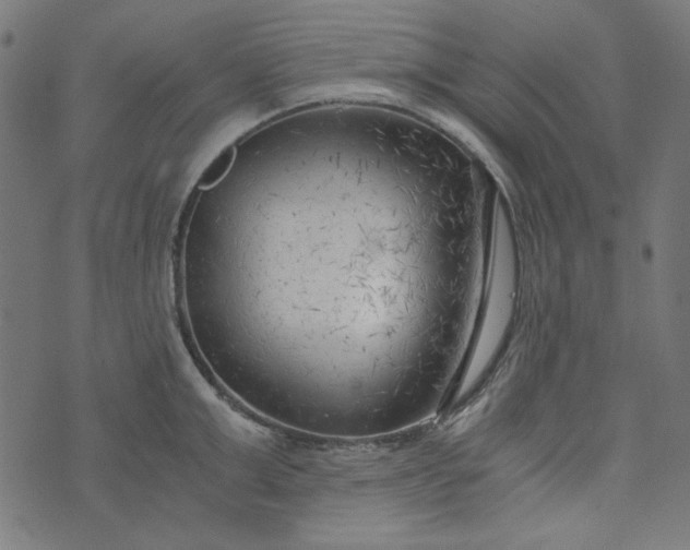 X0000073720999200608171159