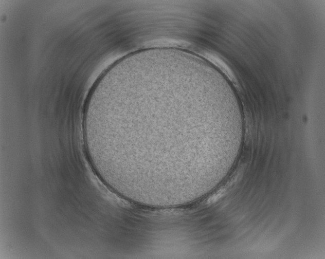 X0000073721000200608171159