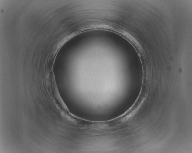 X0000073721001200608171159