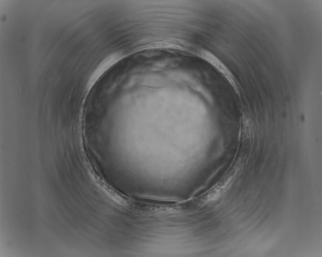 X0000073721002200608171158