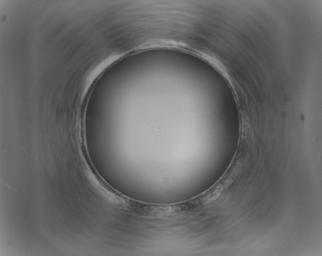 X0000073721003200608171158