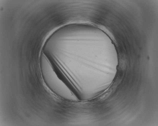 X0000073721004200608171158