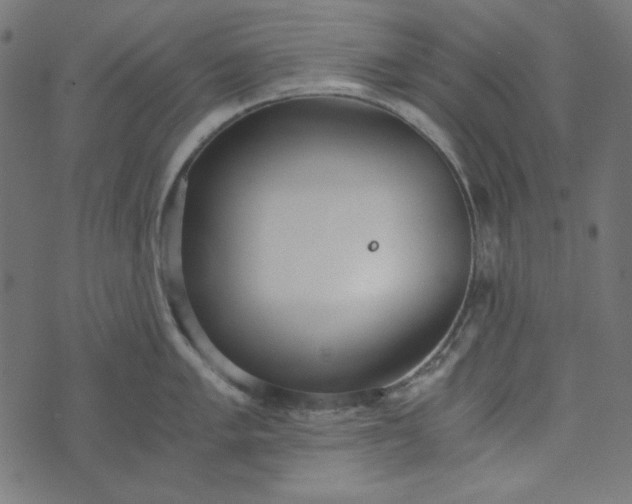 X0000073721005200608171158