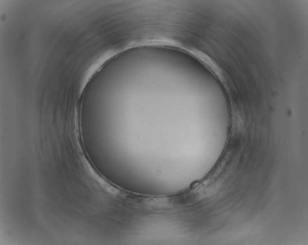 X0000073721006200608171158