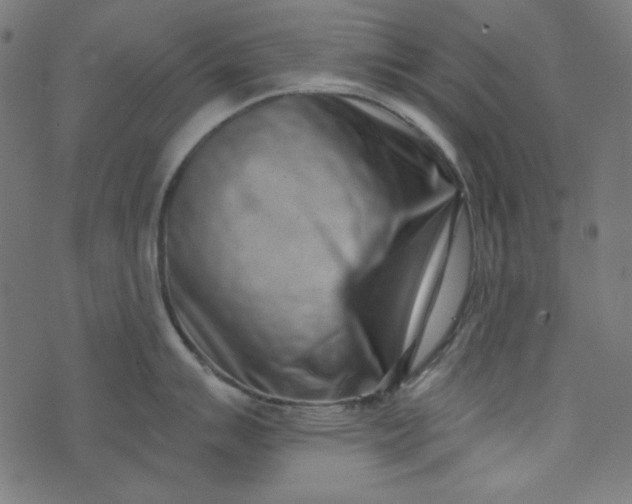 X0000073721007200608171158