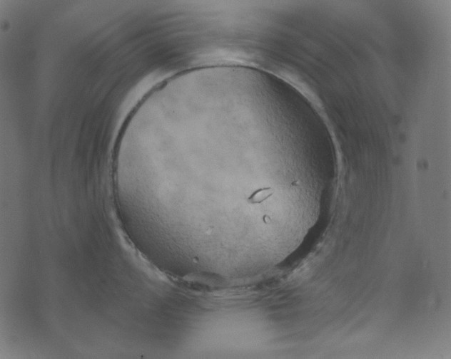 X0000073721008200608171158