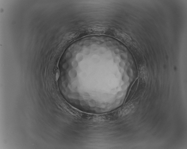 X0000073721009200608171158