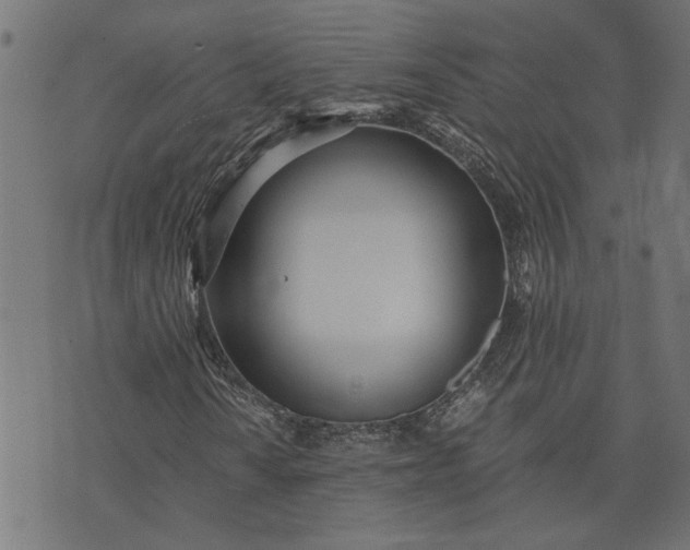 X0000073721010200608171158