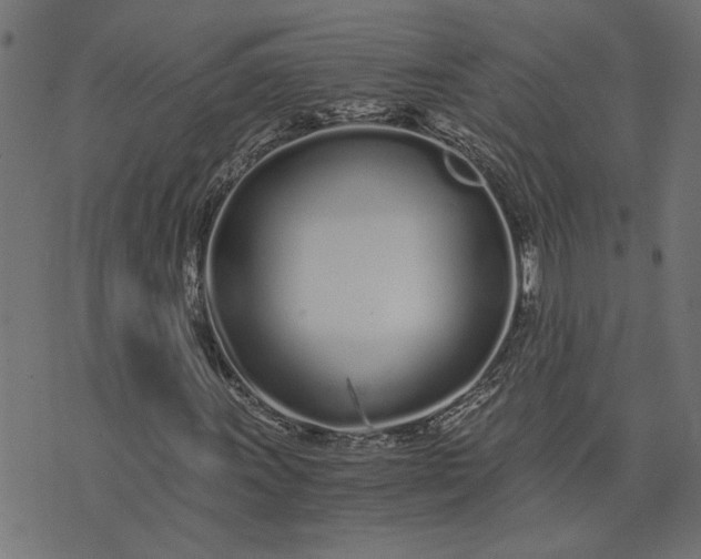 X0000073721011200608171158