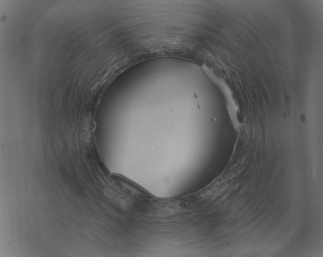 X0000073721012200608171158