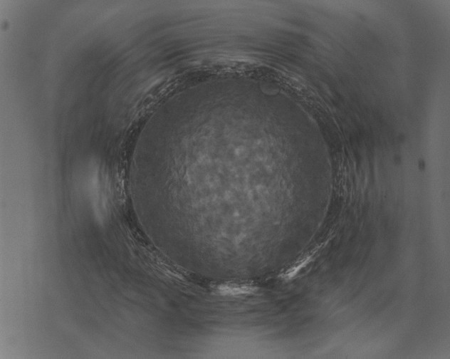 X0000073721013200608171158