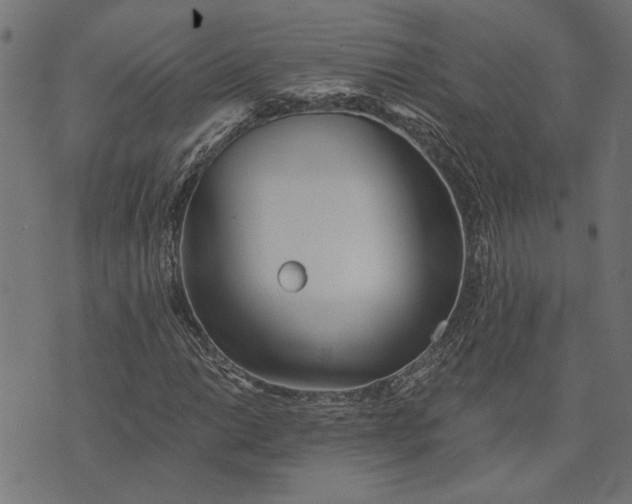 X0000073721014200608171158