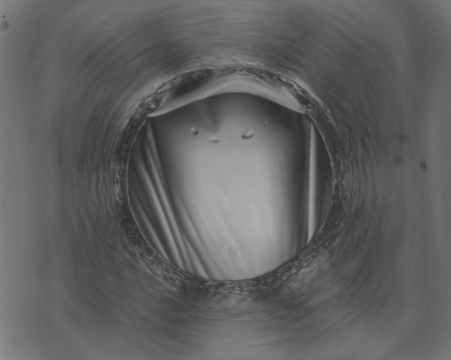 X0000073721016200608171158