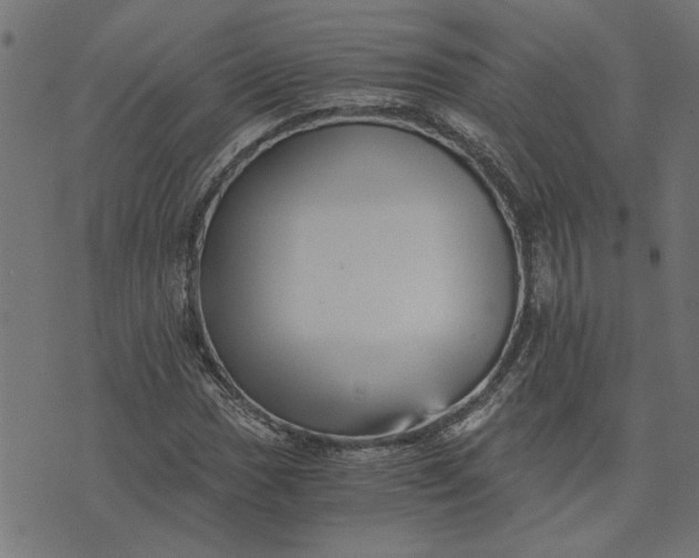 X0000073721017200608171158