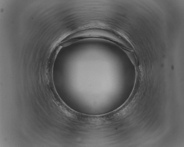 X0000073721018200608171158