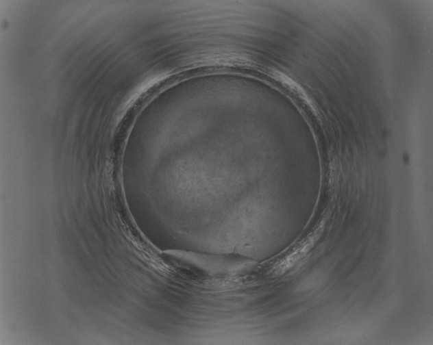 X0000073721019200608171158