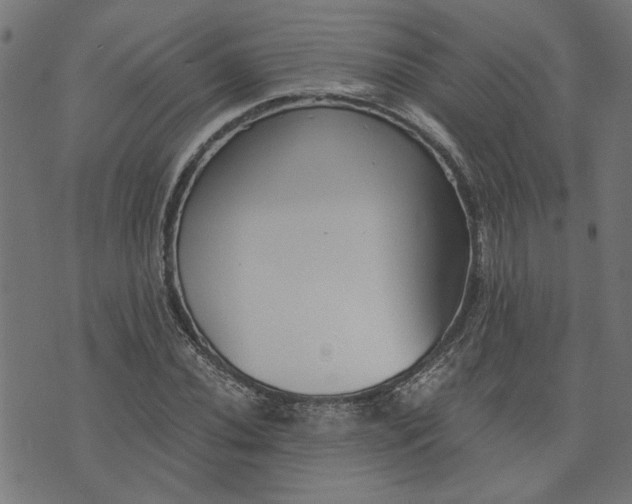 X0000073721020200608171158