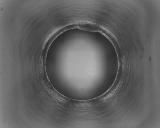 X0000073721021200608171158