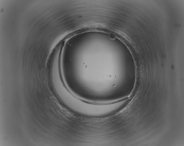 X0000073721022200608171158