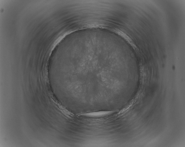 X0000073721023200608171158