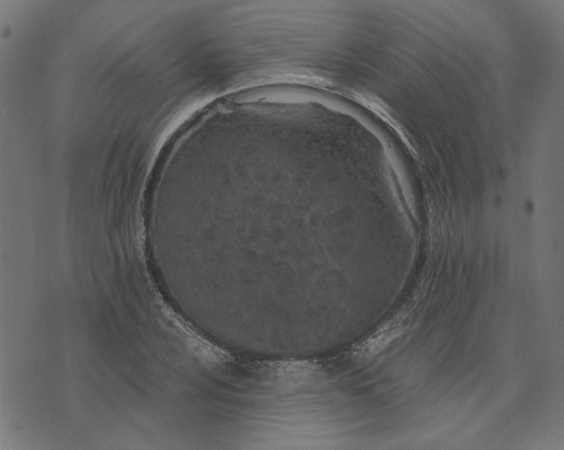 X0000073721024200608171158