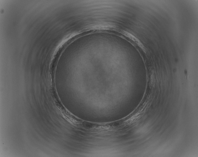 X0000073721027200608171158