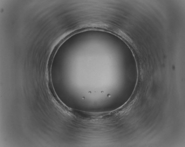 X0000073721028200608171158