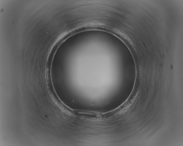 X0000073721029200608171158