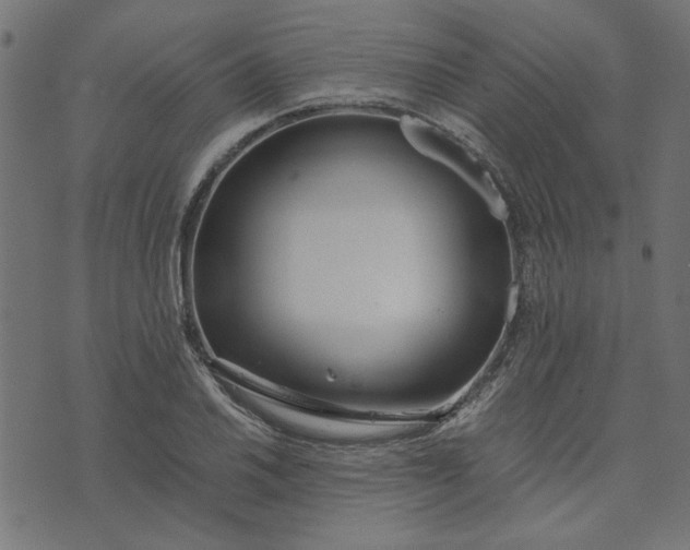 X0000073721030200608171158