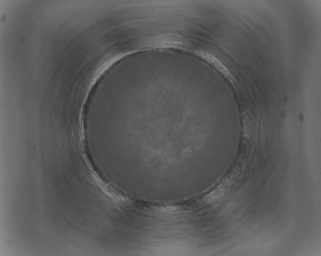 X0000073721031200608171158