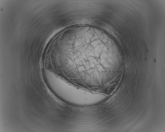 X0000073721032200608171158