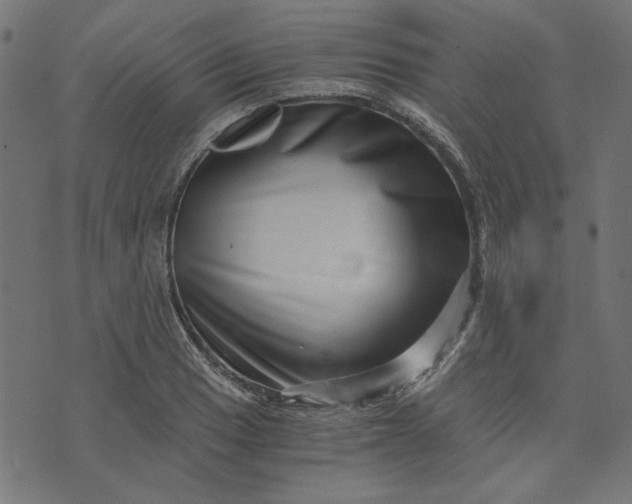 X0000073721033200608171158