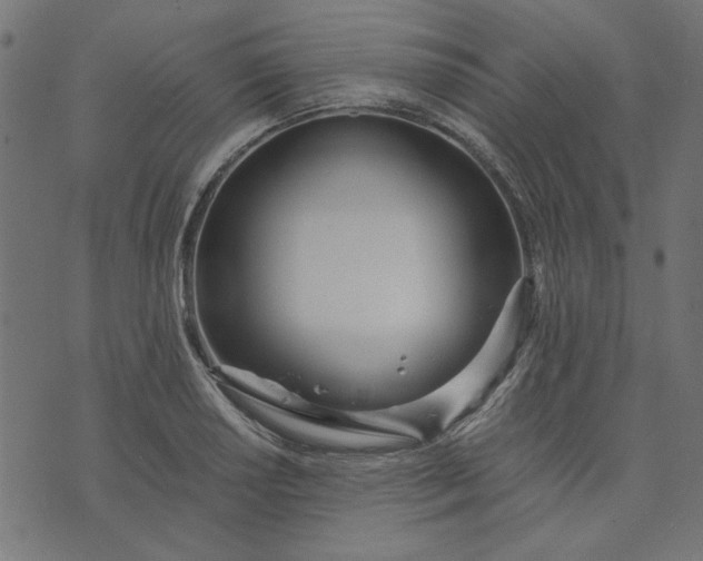 X0000073721034200608171158