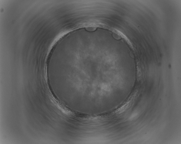 X0000073721035200608171158