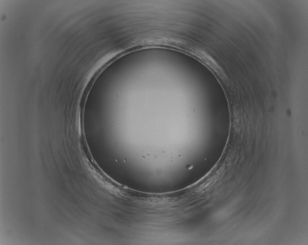 X0000073721036200608171158