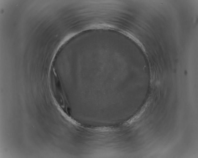 X0000073721037200608171158